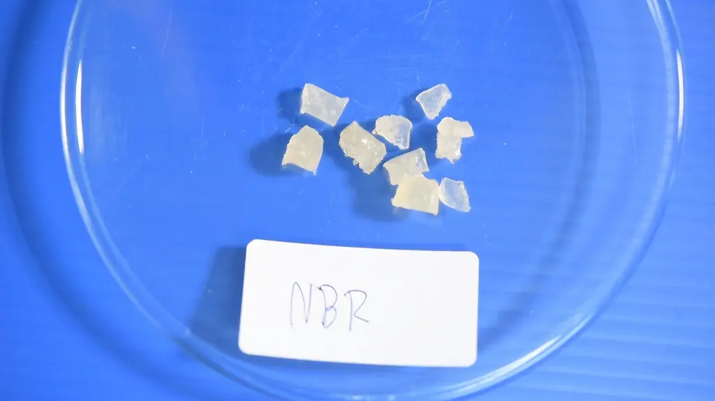 Hydraulic Cylinder Seals Types, Materials, Functions Cylinders, Inc.